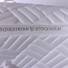 Tapis de selle Modern Perfection DR Equestrian Stockholm Blanc-argenté