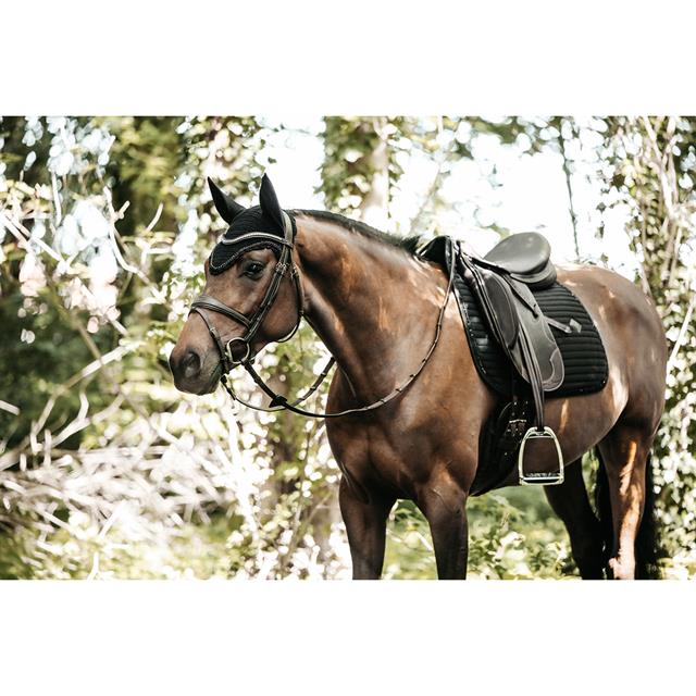 Tapis de selle Pearls Dressage Kentucky Noir