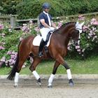 Tapis de selle Prime Dressage WeatherBeeta Blanc