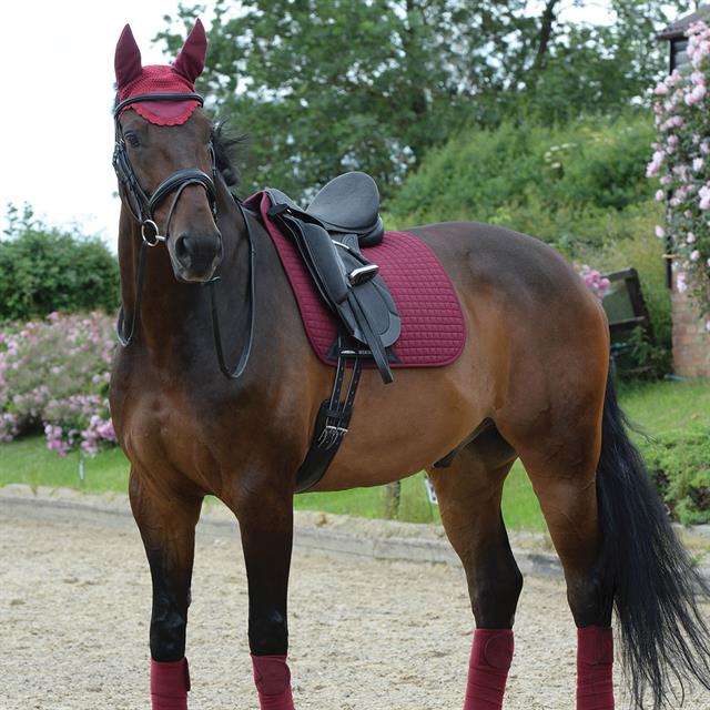 Tapis de selle Prime Dressage WeatherBeeta Rouge foncé