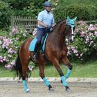 Tapis de selle Prime Dressage WeatherBeeta Turquoise