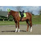 Tapis de selle Prime Dressage WeatherBeeta Vert clair
