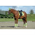 Tapis de selle Prime Dressage WeatherBeeta Vert clair