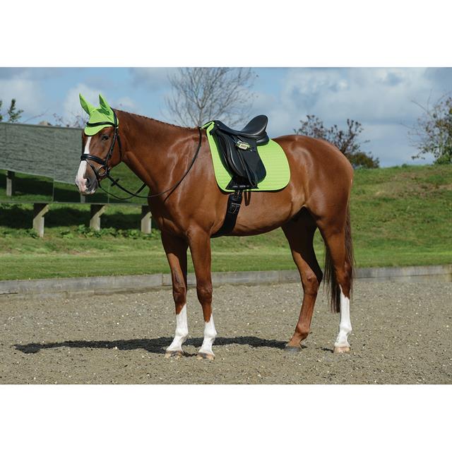 Tapis de selle Prime Dressage WeatherBeeta Vert clair