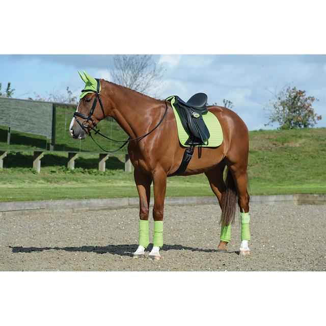 Tapis de selle Prime Dressage WeatherBeeta Vert clair