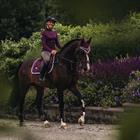 Tapis de selle Purple White Edge Equestrian Stockholm Violet