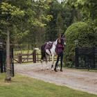 Tapis de selle Purple White Edge Equestrian Stockholm Violet