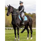 Tapis de selle Self-Cool Close Contact Square LeMieux Bleu