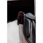 Tapis de selle Skin Friendly Velvet Kentucky Marron clair