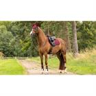 Tapis de selle Softshell Anti Slip Cc Square LeMieux Rouge foncé