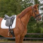 Tapis de selle Sparkle Dressage QHP Blanc