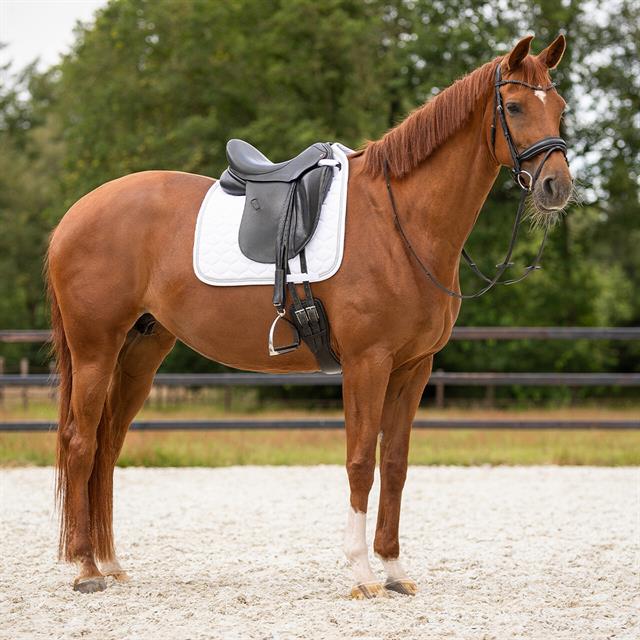 Tapis de selle Sparkle Dressage QHP Blanc