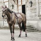 Tapis de selle Velvet Kentucky Mauve clair
