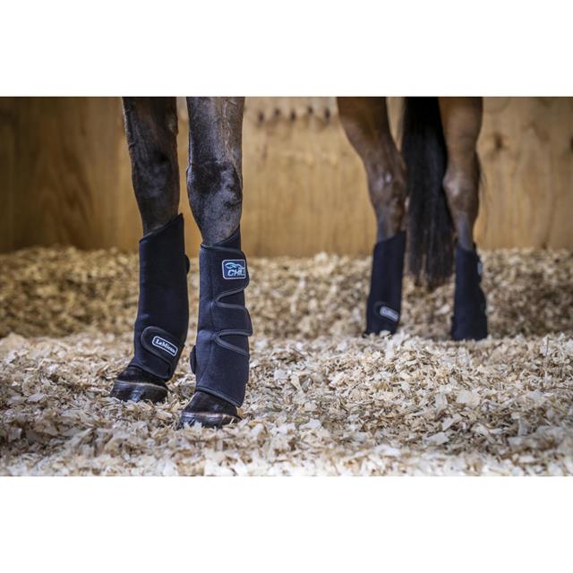 Tendon Chill Boots LeMieux Noir
