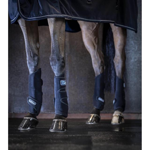 Tendon Chill Boots LeMieux Noir