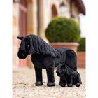 Tiny Pony Skye LeMieux Noir