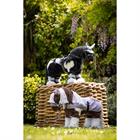 Toy Pony Razzle LeMieux Noir-blanc