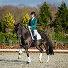 Veste de concours QDjess QUUR  Vert foncé