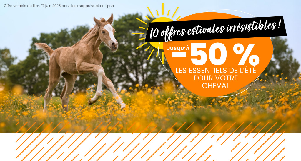 Zotte zomer deals
