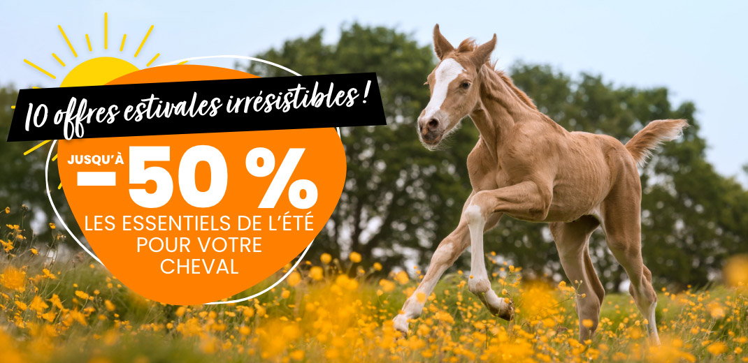 Zotte zomer deals
