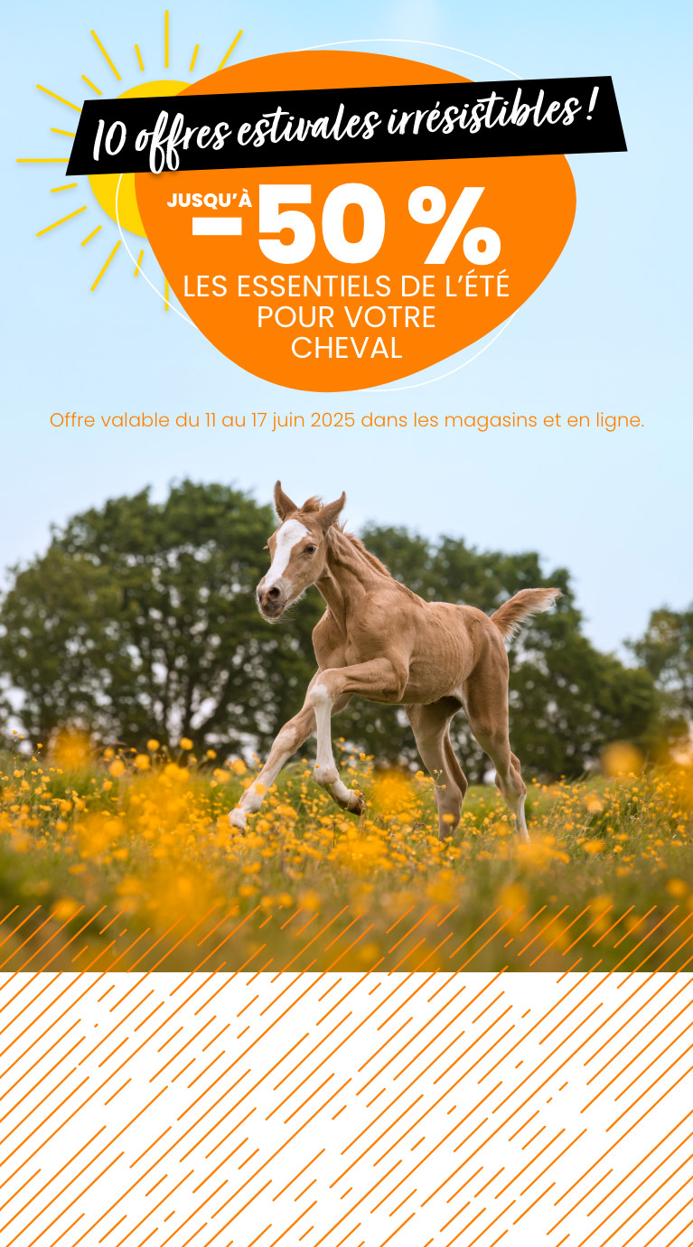 Zotte zomer deals