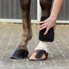 Éponge Equi Super Shiner QHP Noir