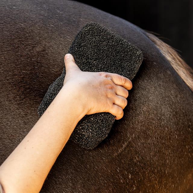 Éponge Equi Super Shiner QHP Noir