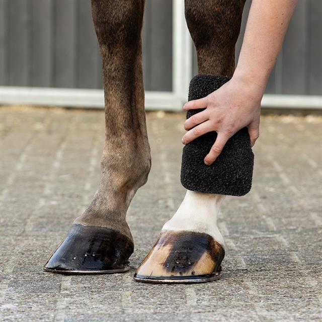 Éponge Equi Super Shiner QHP Noir
