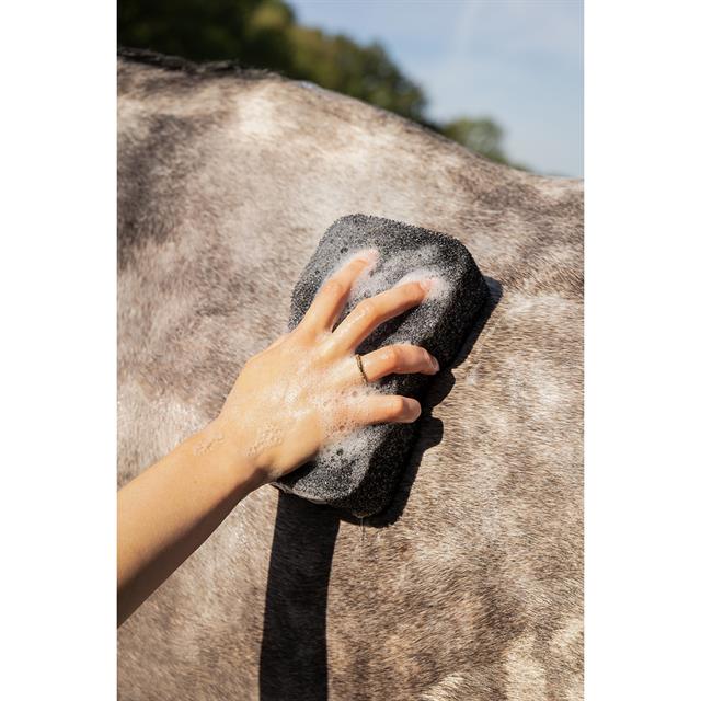 Éponge Equi Super Shiner QHP Noir
