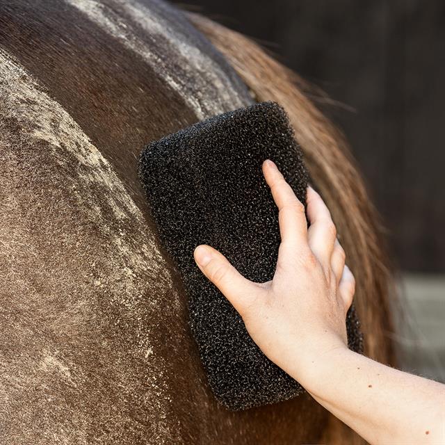 Éponge Equi Super Shiner QHP Noir