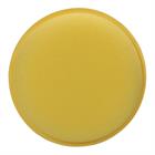 Éponge Leather Care Epplejeck Jaune